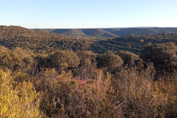 Parque Nacional de Cabañeros - Recorriendo los Montes de Toledo
