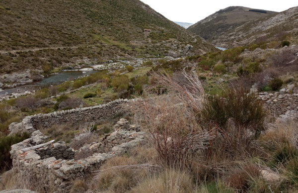 Sierra de Gredos por AV-932 - Ruta por la sierra de Gredos y alrededores