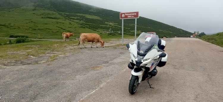 Puerto de Palombera - Ruta por los Valles Pasiegos y los más Verdes de Cantabria