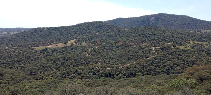 Sierra Padrona y Puerto Quejigo - Sierra Morena en Huelva y Sevilla