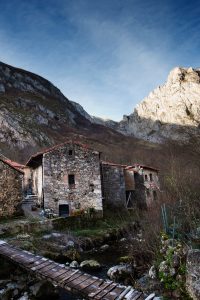 Bulnes