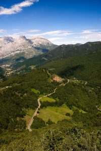 Picos de Europa