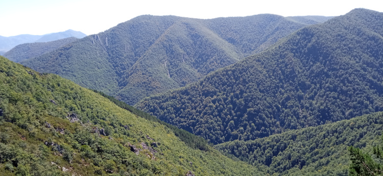 Ruta entre los ríos Narcea y Navia en Asturias