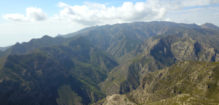 Sierra de Almijara - 1001 curvas por Malaga y Granada