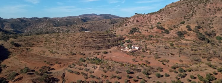 Cultivos de olivar y almendro - Ruta por las montañas de Málaga y Granada