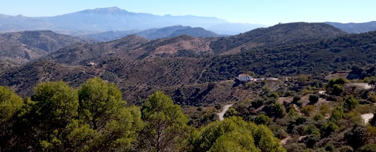 Vistas desde los Montes de Málaga desde la vertiente Este - Ruta por las montañas de Málaga y Granada