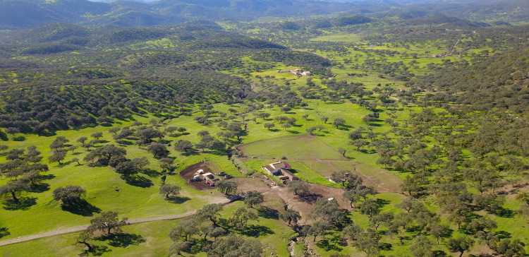 Paisaje de Dehesa - Sierra Morena en Huelva y Sevilla