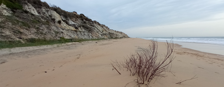 Acantilado del Asperillo - Ruta por la costa de Huelva