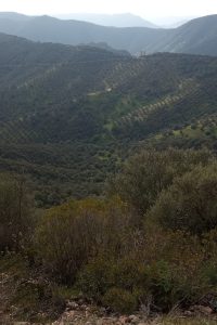 Sierra de los Puntales