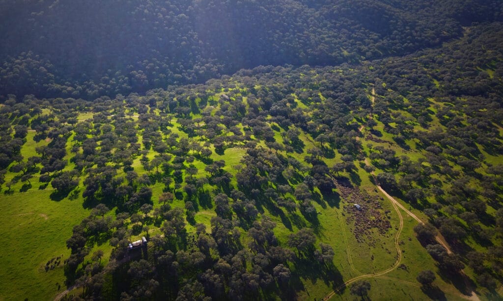 Sierra de Hornachuelos: naturaleza salvaje en Córdoba