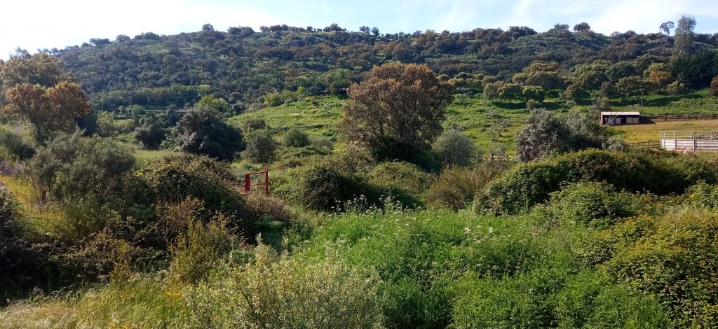 Parque Natural do Tejo Internacional - Ruta por el Tajo o Tejo Internacional
