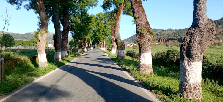 Serra de São Mamede - Ruta por el Tajo o Tejo Internacional