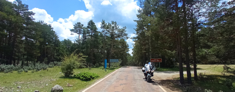 Sierra del Tremedal - Ruta para conducir entre Cuenca y Teruel