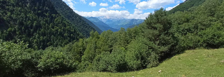 Valle de Varradós - Ruta por el Valle de Arán