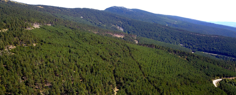 Ruta por las Sierras de la Demanda y la de los Picos de Urbión