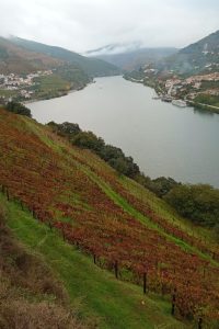 Miradouro das Covelinhas