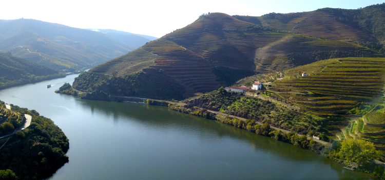Panorámica del río Duoro - Miradores del Vale do Duoro