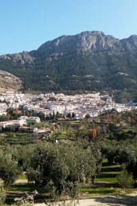 Cazorla