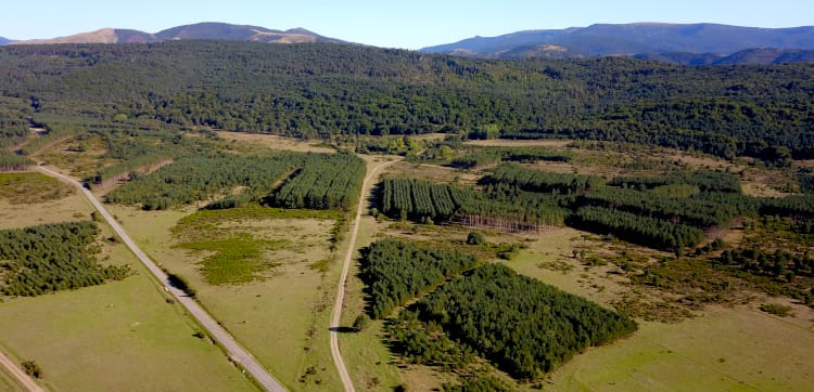 Collado de Canales - Ruta por las Sierras de la Demanda y Picos de Urbión