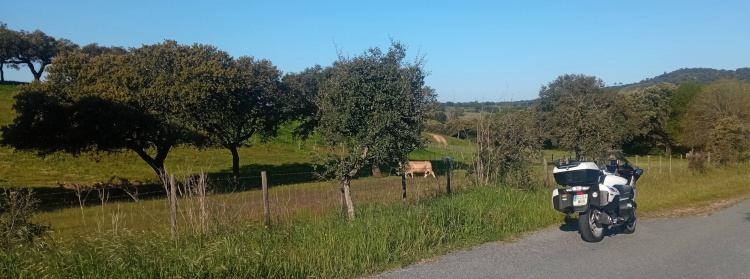 Ruta Nacional 2 - Etapa Sur