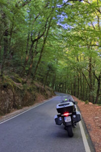 Sierra de Gerês