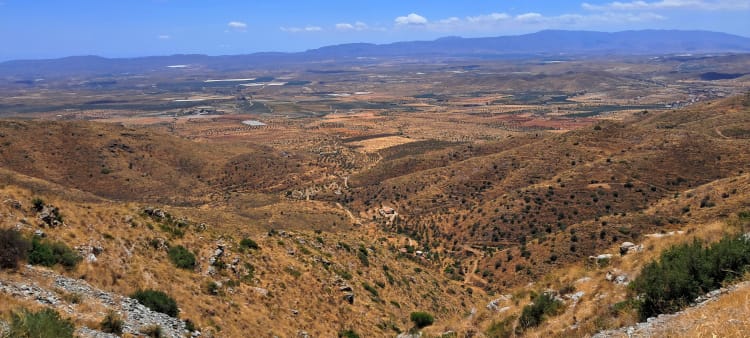 Campo de Tabernas